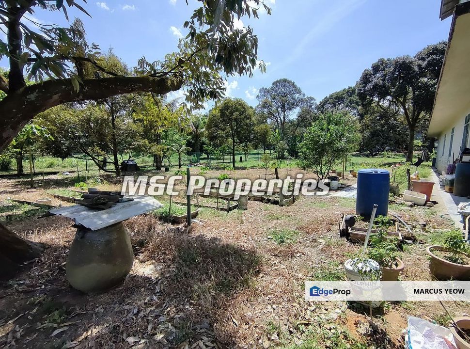 Sungai Gadut Agriculture 1 Acre Land With Bird Nest House For Sale!!, Negeri Sembilan, Seremban