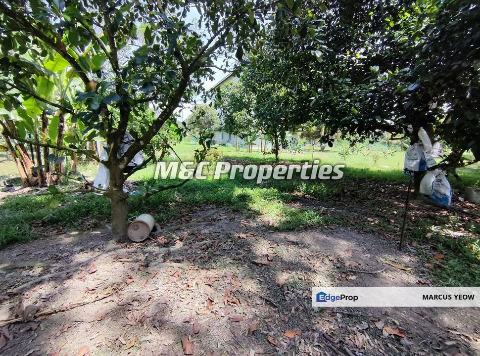 Sungai Gadut Agriculture 1 Acre Land With Bird Nest House For Sale!!, Negeri Sembilan, Seremban