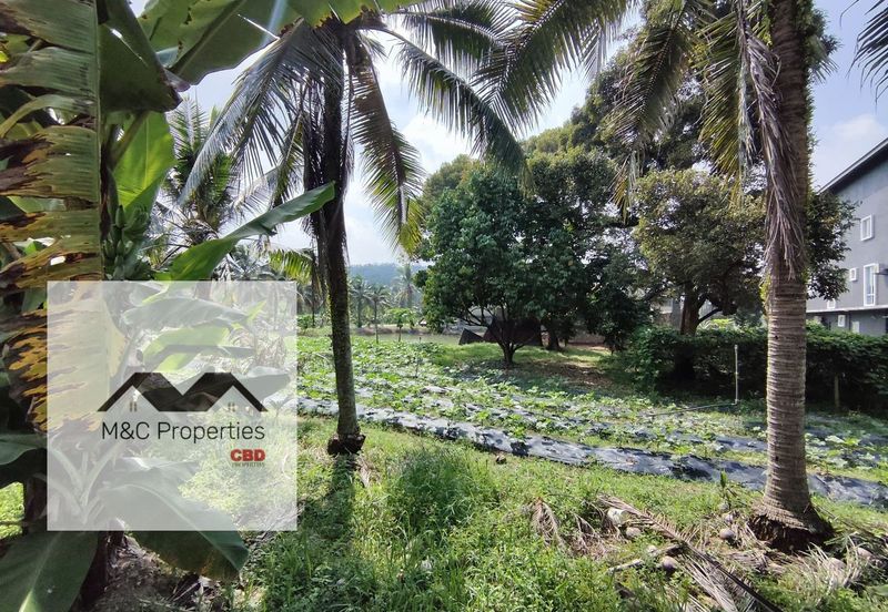 Sungai Gadut Agricultural 1 Acre Land Senawang Seremban For Rent!!