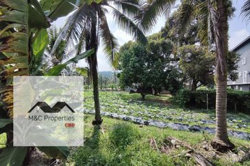Sungai Gadut Agricultural 1 Acre Land Senawang Seremban For Rent!!