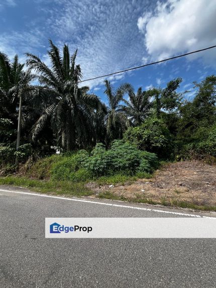 TANAH Pertanian UNTUK DIJUAL di  Peserai, Parit Bintang, Johor, Batu Pahat