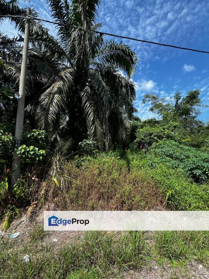 TANAH Pertanian UNTUK DIJUAL di  Peserai, Parit Bintang, Batu Pahat, Johor, Batu Pahat