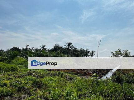 6 acres Agricultural Land in Mukim Bukit Batu, Kulai , Johor, Kulai