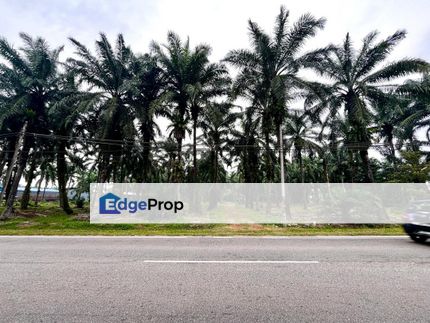 Agricultural Land For Sales in Parit Bakar, Muar, Johor, Muar