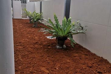 Jacaranda Garden Residence