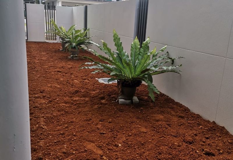 Jacaranda Garden Residence