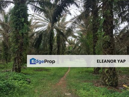 Taman Dato Hormat Housing Land For Sale in Telok Panglima Garang Kuala Langat, Selangor, Telok Panglima Garang