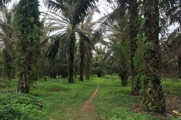 Taman Dato Hormat, Telok Panglima Garang