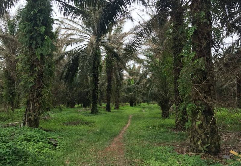 Taman Dato Hormat, Telok Panglima Garang