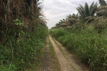 Taman Dato Hormat, Telok Panglima Garang