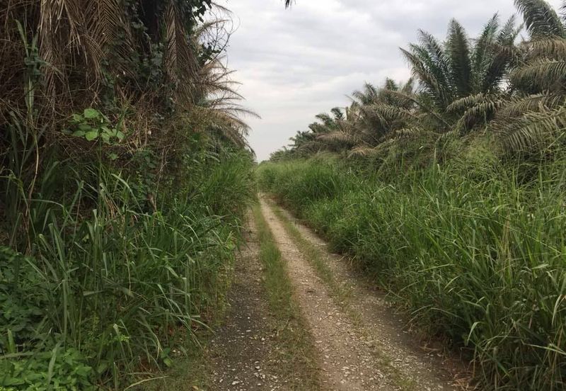 Taman Dato Hormat, Telok Panglima Garang