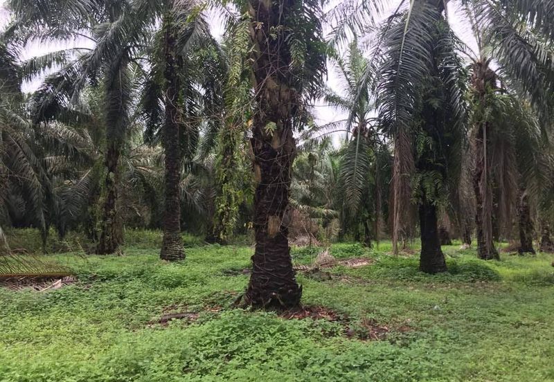 Taman Dato Hormat, Telok Panglima Garang