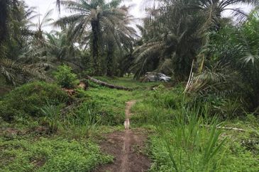 Taman Dato Hormat, Telok Panglima Garang