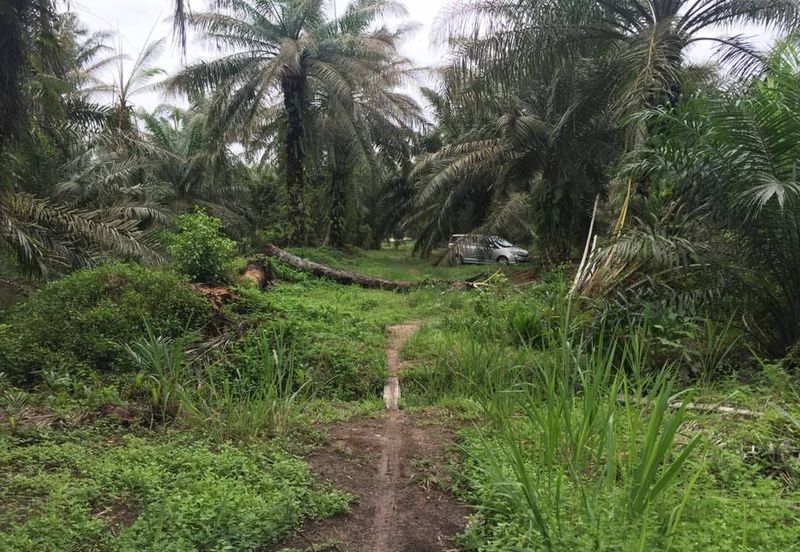 Taman Dato Hormat, Telok Panglima Garang