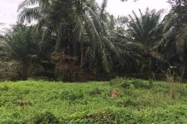 Taman Dato Hormat, Telok Panglima Garang