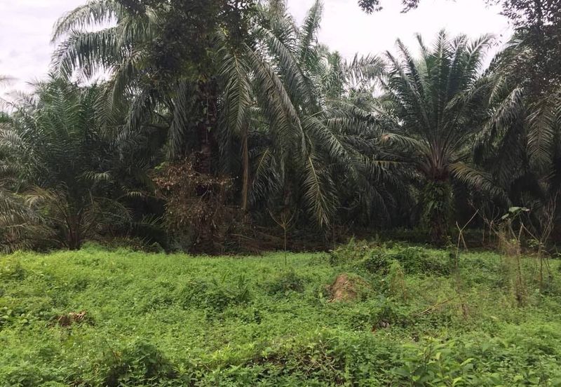 Taman Dato Hormat, Telok Panglima Garang