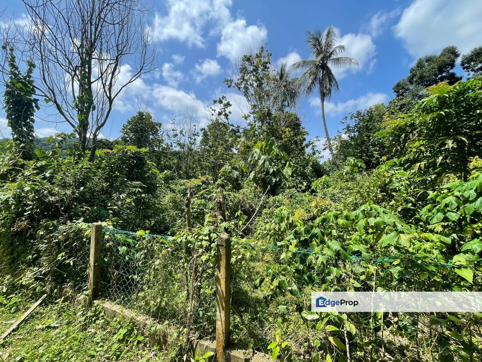 Tanah lot banglo Paya Binjai, Dungun, Terengganu, Dungun