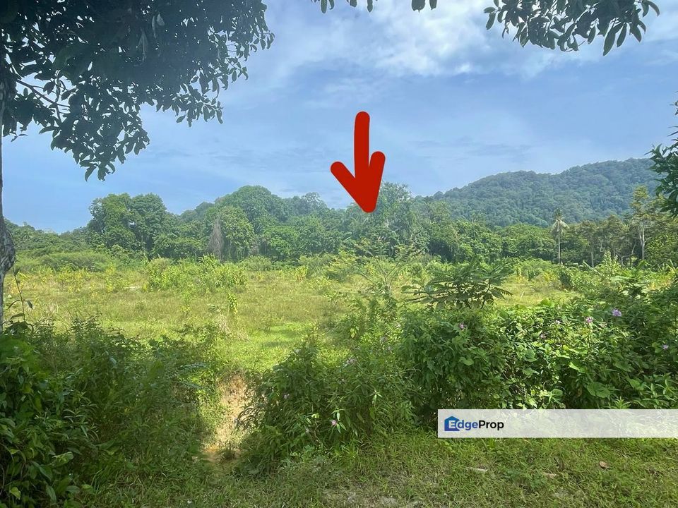 Turun harga - Tanah bangunan Kg Labohan, Kerteh, Terengganu, Kerteh