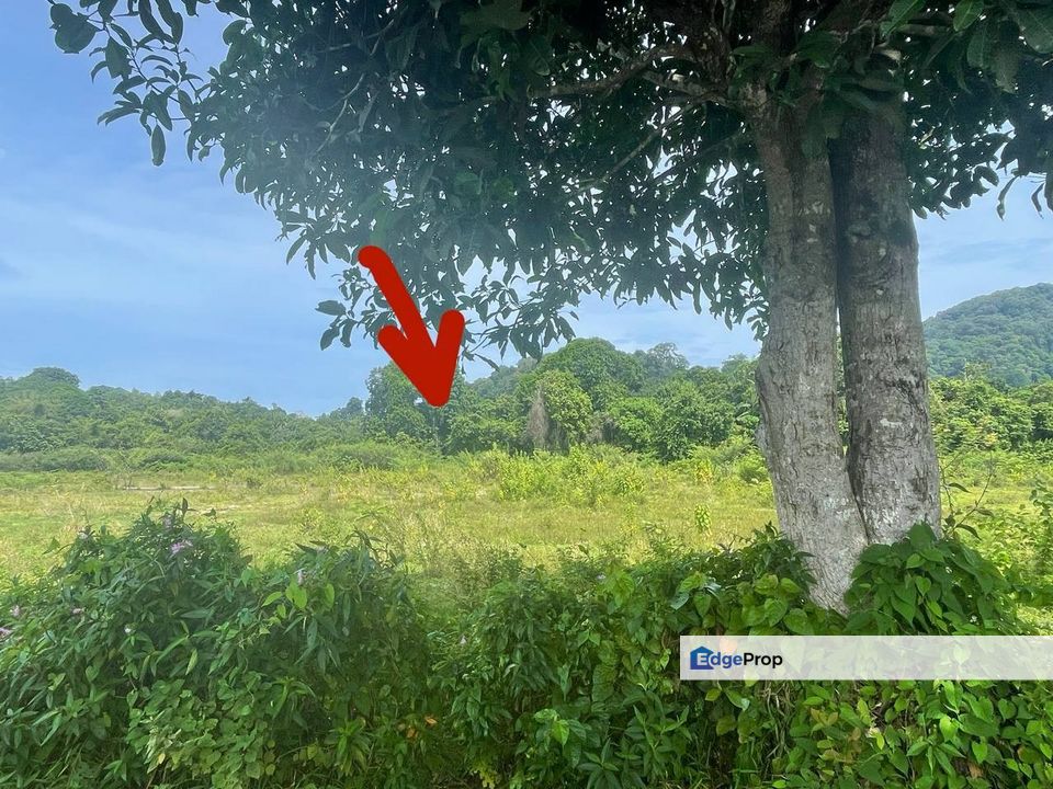 Turun harga - Tanah bangunan Kg Labohan, Kerteh, Terengganu, Kerteh