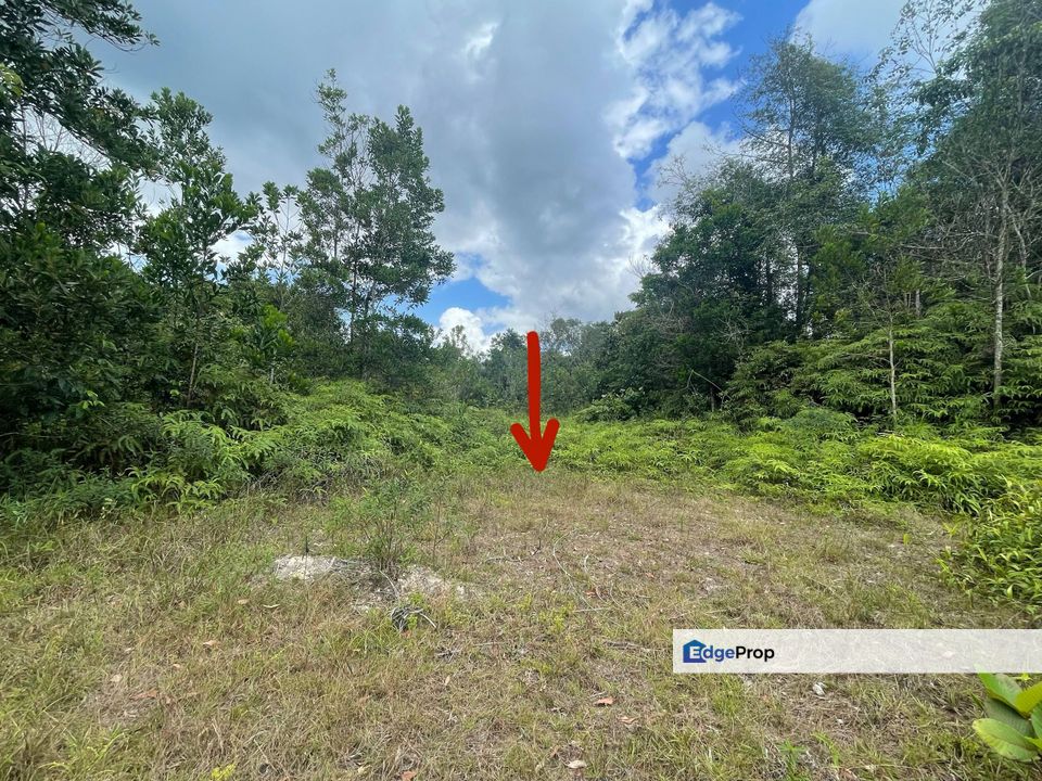 Tanah lot banglo Kg Padang Lalang, Binjai, Kemaman, Terengganu, Kemaman