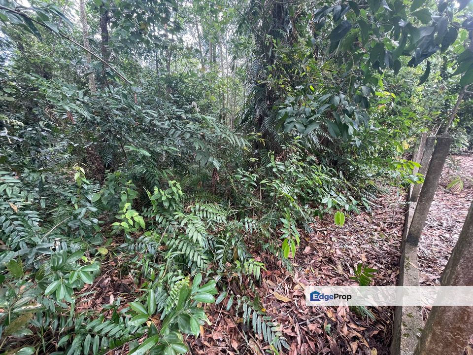 Tanah lot banglo Kg Mak Chili, Kemaman, Terengganu, Kemaman