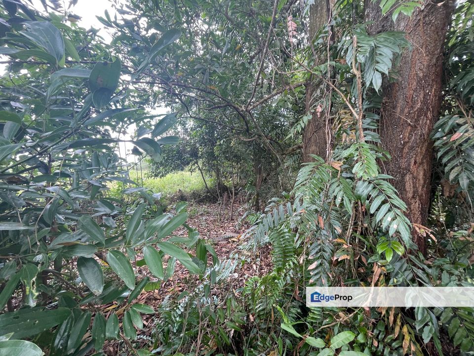 Tanah lot banglo Kg Mak Chili, Kemaman, Terengganu, Kemaman