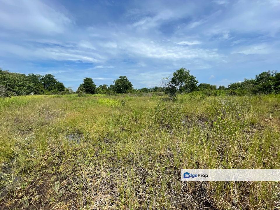 Tanah industri Kg Paya Berenjut, Terengganu, Kemaman