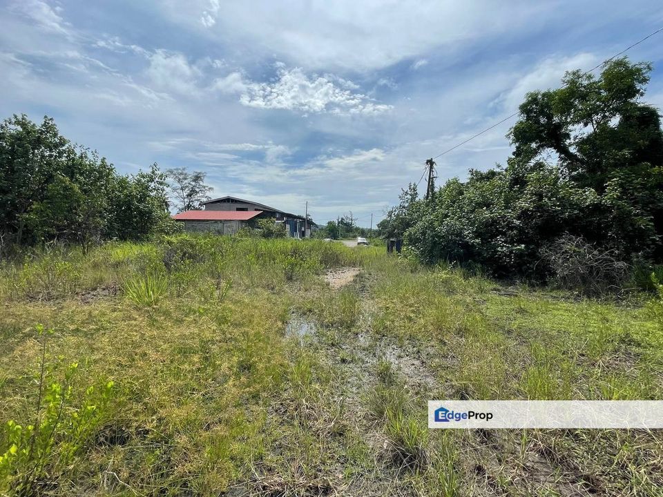 Tanah industri Kg Paya Berenjut, Terengganu, Kemaman