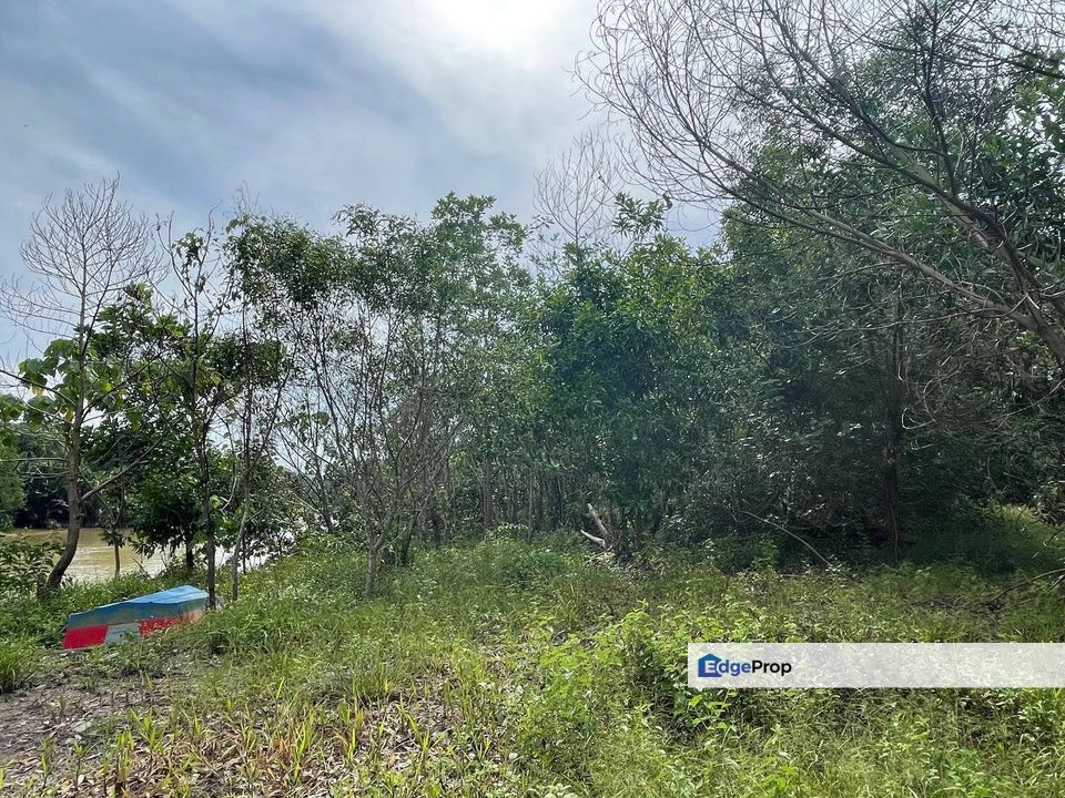 Tanah pertanian tepi sungai Kg Nyior, Paka, Terengganu, Dungun