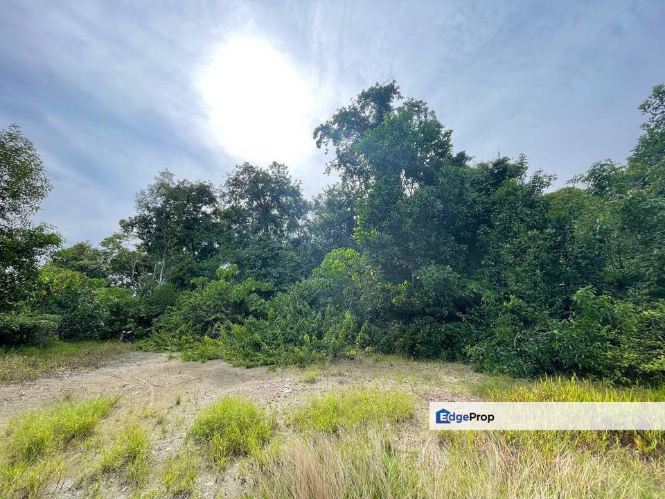 Tanah pertanian tepi sungai Kg Nyior, Paka, Terengganu, Dungun