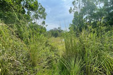 Taman Binjai Firdaus