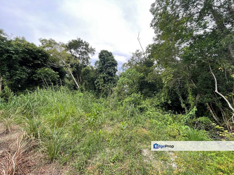 Tanah Pertanian Tepi Sg Kg Nyior Paka Dungun, Terengganu, Dungun