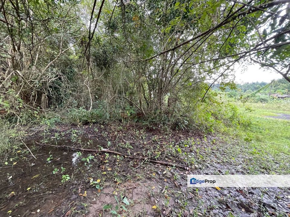 Strategik: Tanah Bangunan Bukit Chatak Kuala Dungun, Terengganu, Dungun