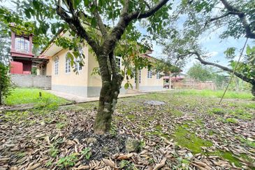 Bukit Payung, Pekan Bukit Payung