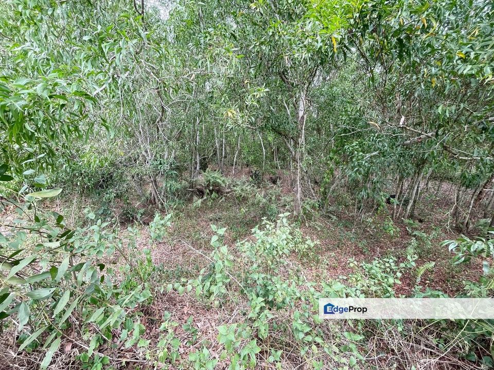 Tepi Jalan Besar: Tanah Bangunan Kuala Abang Dungun, Terengganu, Dungun