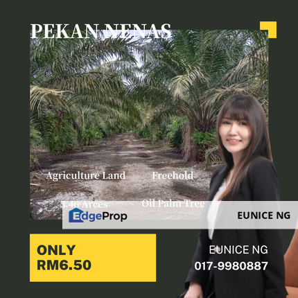 Pekan Nenas, Pontian (Agriculture Land), Johor, Pontian