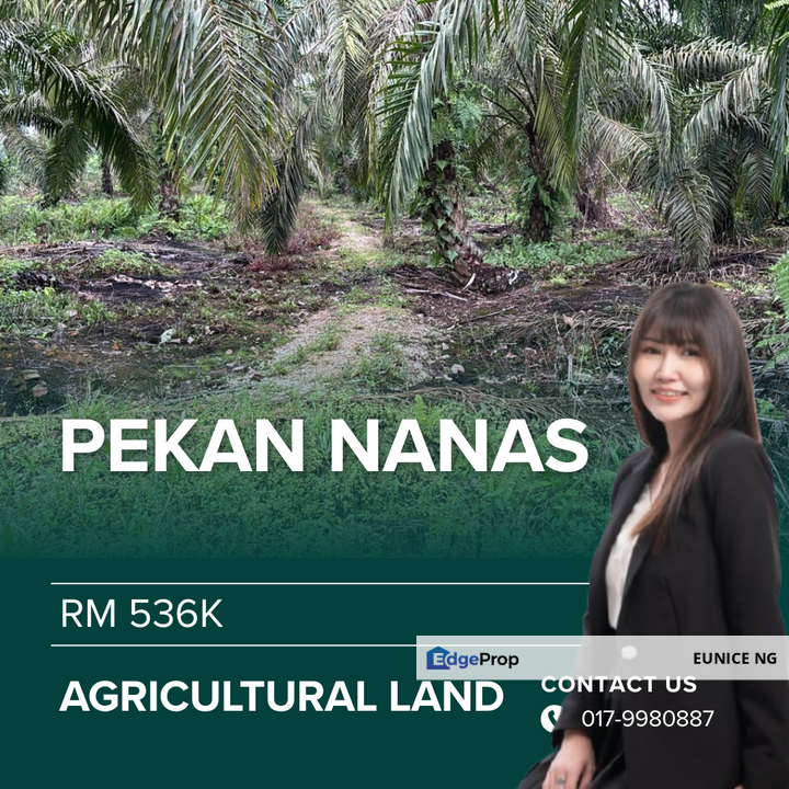 ( Pekan Nanas ) Agricultural Land For Sale, Johor, Pontian