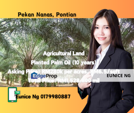 Pekan Nanas, Pontian - Planted Palm Oil (10 years), Johor, Pontian