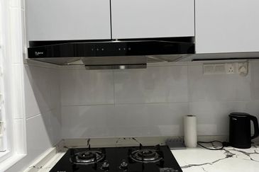 Merrydale @ Eco Majestic