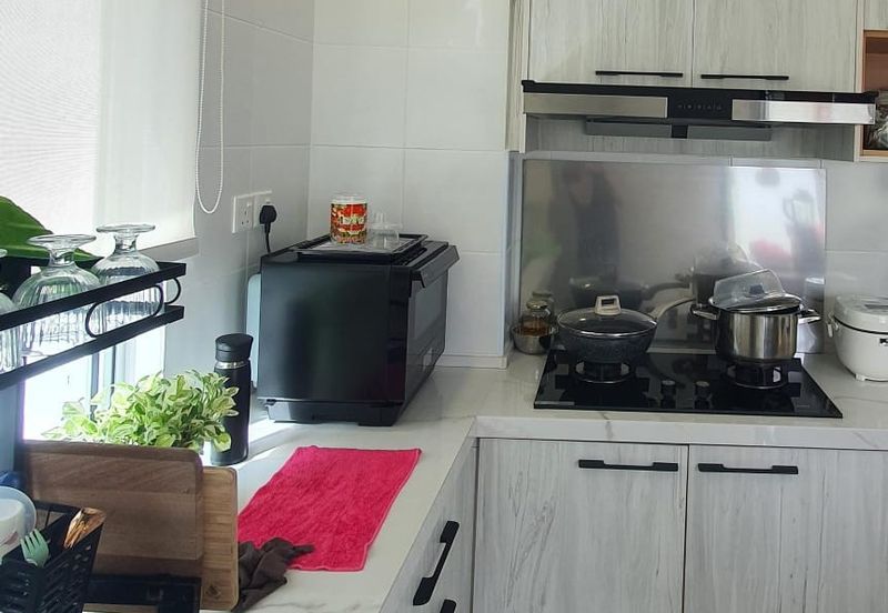 Ebonylane @ Eco Forest