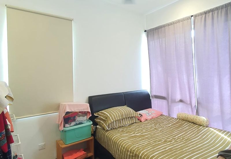 Ebonylane @ Eco Forest