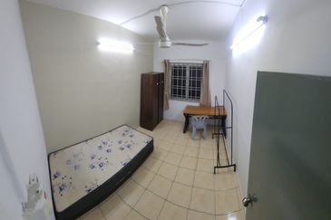 Tenderfields @ Eco Majestic