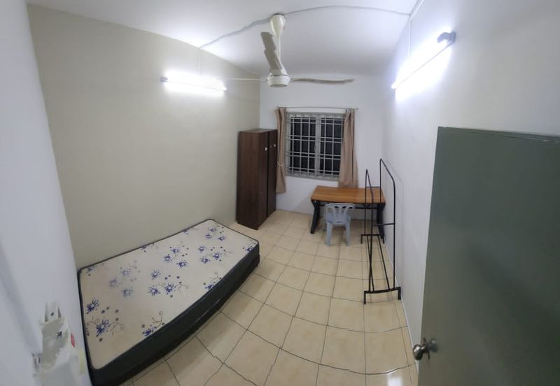 Tenderfields @ Eco Majestic