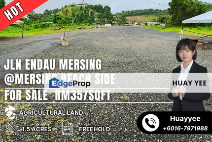 Mersing Agricultural Land Beach Side For Sale Near Town Area, Johor, Mersing