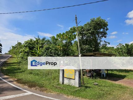 Freehold Land Segamat 4.7 acre Sawit For Sale , Johor, Segamat