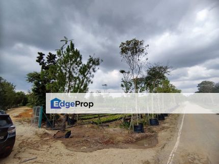 2 Ekar Tanah Pertanian Nursery Pokok Bunga Bakri Muar Malay Reserved For Sale, Johor, Bakri