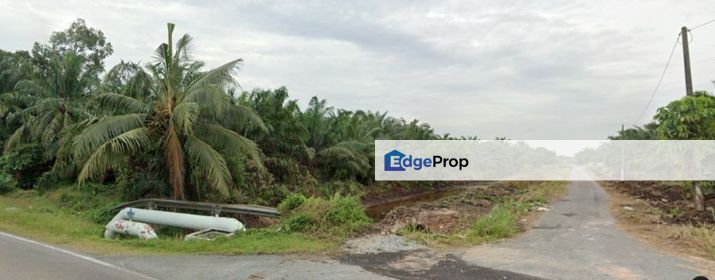 To Sale Pontian/kukup land, Johor, Pontian