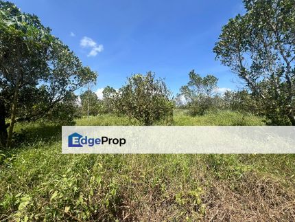 For sale industry land, saleng kulai, Johor, Kulai