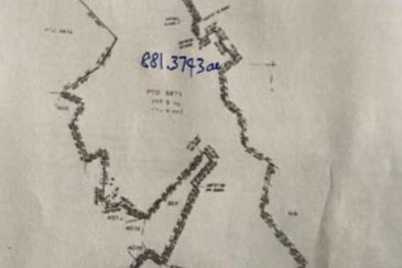 To Sale Pagoh, Muar. Plam oil