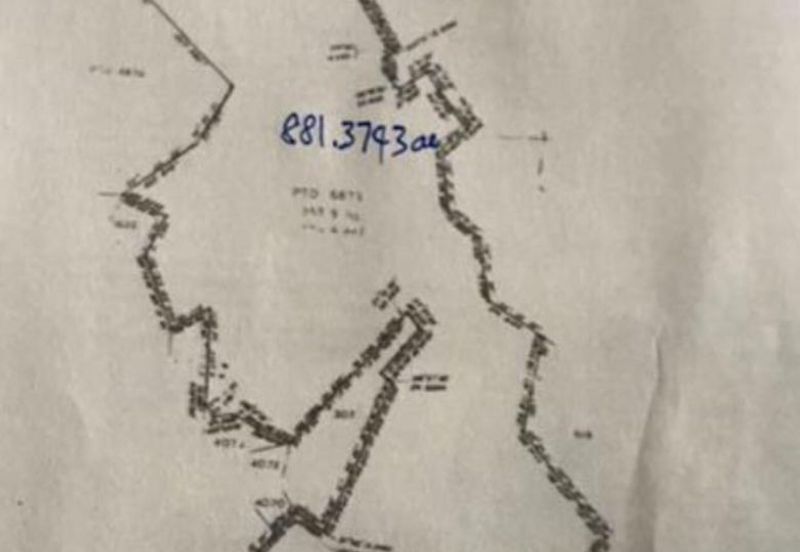 To Sale Pagoh, Muar. Plam oil